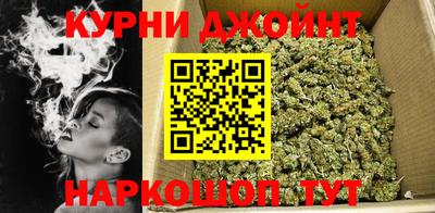 гидра Рязань