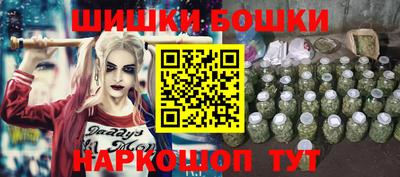 гидра Рязань