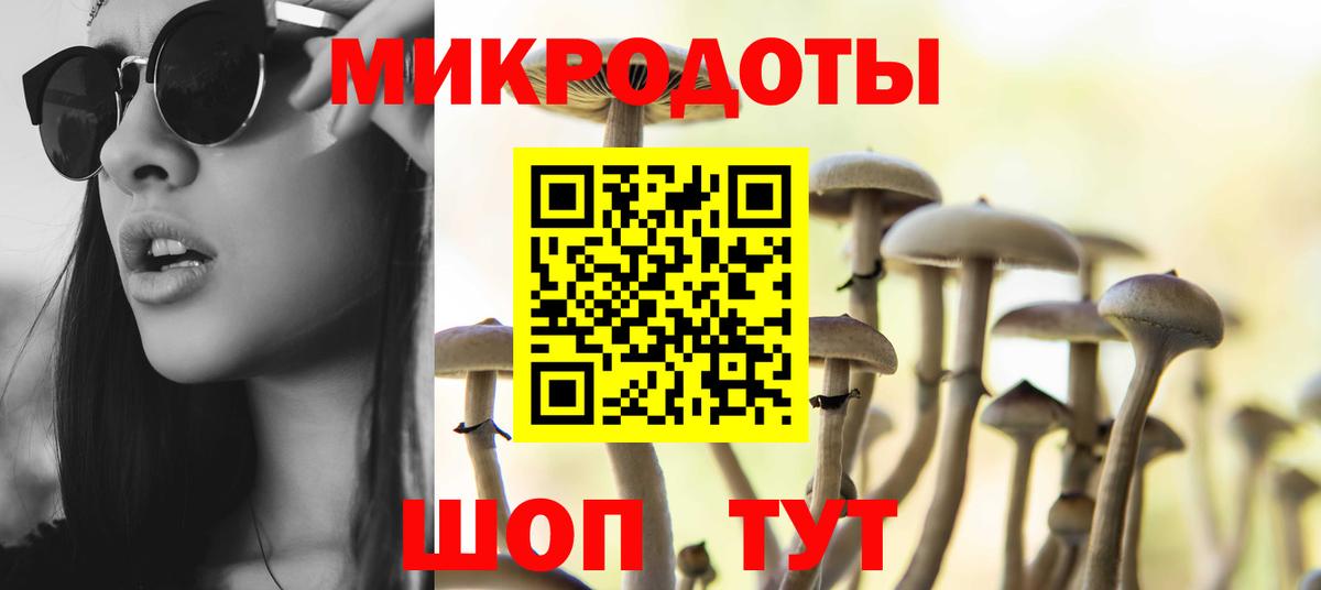 Псилоцибиновые грибы ЛСД  Галлюциногенные грибы мухоморы  Вход с VPN  Приморско-Ахтарск 